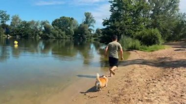 Bir adam sahil boyunca Corgi köpeğiyle göletin yanında koşar. Yüksek kalite 4k görüntü