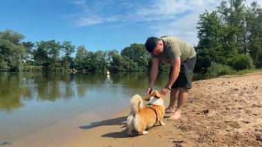 Güneşli bir günde, sahilde Corgi Dog 'la havuz kenarında yakalamaca oynayan adam. Yüksek kalite 4k görüntü
