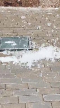Şehrin tuğla kaldırımlarında kavak kabuğu, yazın kış manzarası, video.
