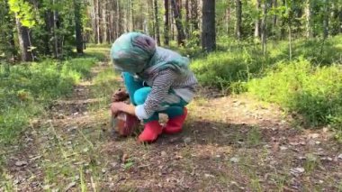 Kuzey çam ormanlarında bir kız toprağı merakla ve merakla inceliyor.