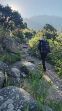 Çok yetenekli bir yürüyüşçü, yemyeşil ve nefes kesici dağ manzaralarıyla çevrili kayalık bir yolda ustaca yol alır.