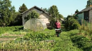 Huzurlu ve huzurlu bir arazide, yetenekli bir bahçıvan yemyeşil alanda taze, canlı bir ürün taşır.