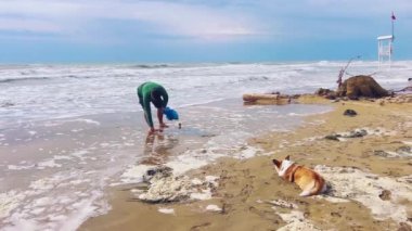 İnsanlar ve Corgi köpekleri sahildeki çöpleri temizler, ekolojiye yardım ederler. Fırtına üstüne fırtına.