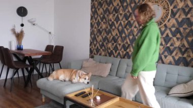 Şık bir oturma odası, neşeli bir Corgi, modern ve şık mobilyalar ve eşsiz bir geometrik duvar dekoruyla birlikte.
