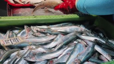 Hareketli deniz ürünleri seçimini araştırın. Kalabalık bir pazarda bulunan taze avlar dizisi.