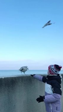 Bir çocuk sevinçle sahildeki meraklı bir martıya uzanır ve doğadaki huzurlu bir anı yakalar.