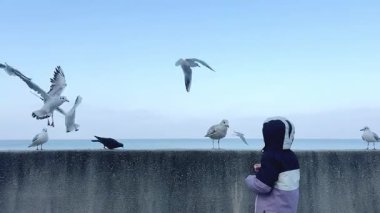 Bir çocuk mutlu bir şekilde martılara bakıyor. Huzurlu ve sakin deniz kenarındaki atmosferde zarafetle uçuyor.