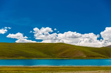 Geniş açık manzaralı geniş çayır fotoğrafçılığı