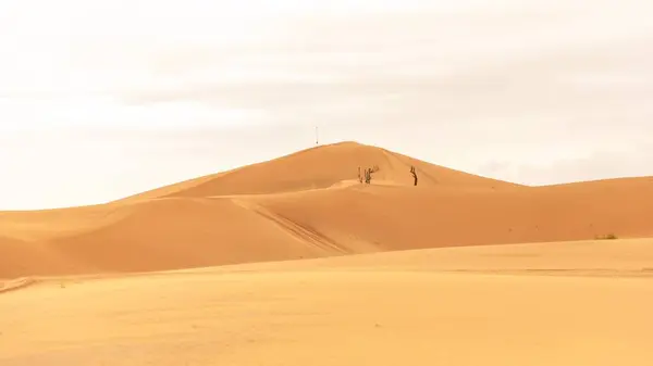 stock image Expansive desert landscape photography with vast horizons