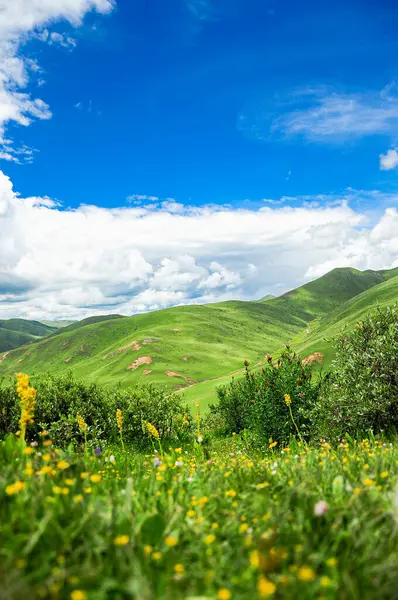 Seda, Sichuan 'daki Highland çayır manzarası