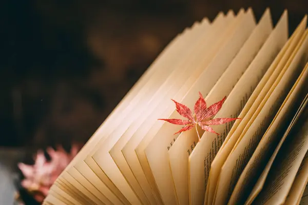 Akçaağaç yaprakları ve kitap arkaplanlı sonbahar sanatsal tarzı