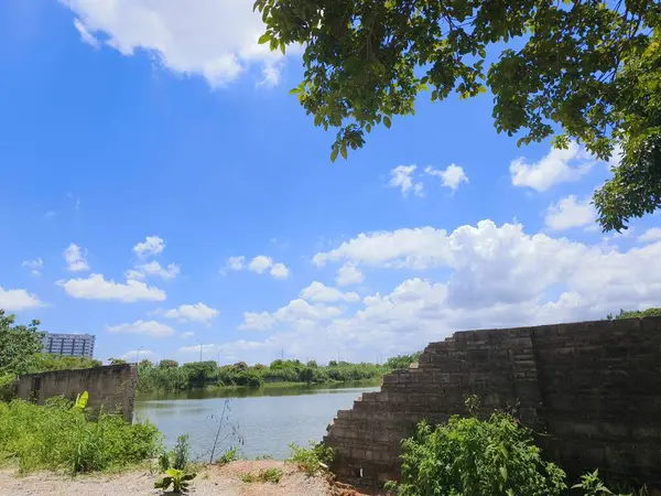 stock image Sunny day by a peaceful riverside with lush greenery and blue sky