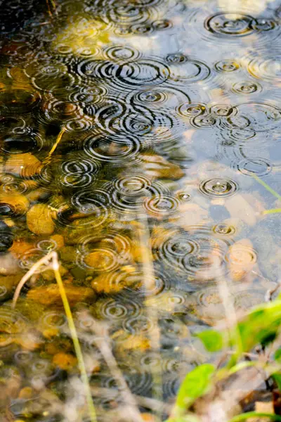 stock image photography of raindrop ripples on pond in rainy season