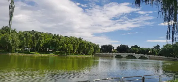 Huzurlu Lakeside Pagoda Çevrelenmiş Tranquil Park 'ta Yeşillik