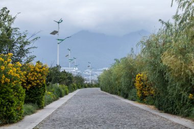 Dali Yunnan Kırsalında Canlı Çiçek Çizgili Sahne Yolu