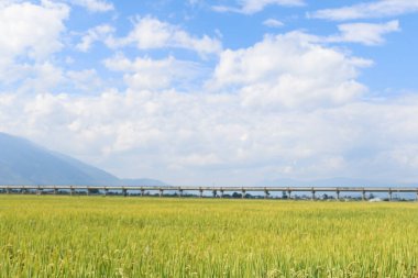 Idyllic Yunnan Köyü Açık Mavi Gök ve Beyaz Bulutlar Altında Pirinç Terasları