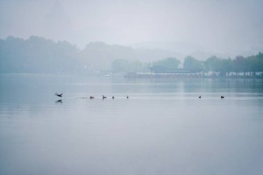 Hangzhou Zhejiang 'da Jiangnan Batı Gölü Sabah Sisi ve Yağmur Manzarası