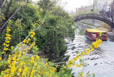 Jinan Tarihi Hendeği ve Su Yolları boyunca Şehir Duvarları Manzaralı Bahar Turu