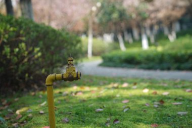 Yıpranmış Park Çim Musluğu Halka açık bir parkta yeşil çimin köşesine kurulmuş