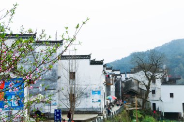 Geleneksel Köy Fotoğrafçılığında Beyaz Huizhou Tarzı Mimari