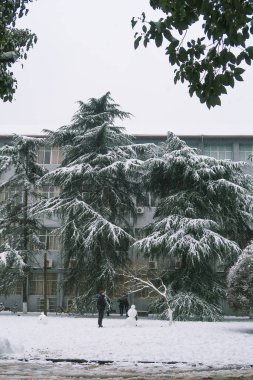 Karlı Çam Ağaçları ve Kardan Adam Kış Ormanı Harikalar Diyarı Sahnesi