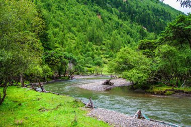 Sichuan Doğa Sahnesi Buzul Nehir Dağları ve yemyeşil su manzarası Fotoğrafları