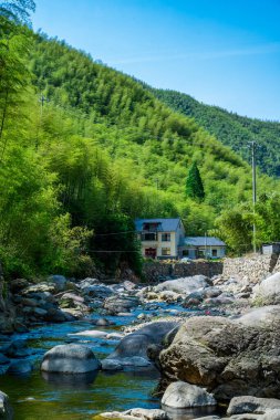 Bambu Korusu ve Temiz Nehir Fotoğrafları Arasındaki Nehir Kenarı Kulübesi