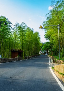 Köy Gelişiminin Ortasında Kırsal Bambu Ormanı Yolu İnşaatı