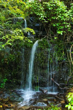 Green Hills Fotoğrafçılığının Ortasında Küçük Dağ Şelalesi ve Akan Akıntı