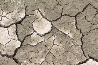 Çevresel Gün Farkındalığı Arkaplan Kaynağı İçin Çatlamış Toprak Dokusu