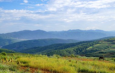 Geniş Dağ Çayırları Mavi Gök ve Beyaz Bulut Panoraması Altında