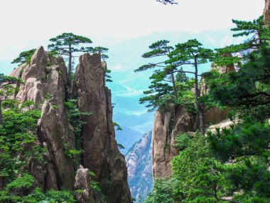 Huangshan, Anhui 'de muhteşem granit tepeler ve çam ağaçları.