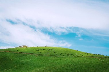 Açık Mavi Gök Altındaki Otlak Çobanları Geniş Çayır 'da