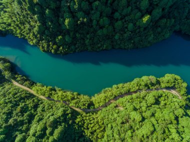 Deqing Zhejiang 'daki Moganshan dağ ormanının havadan görünüşü.