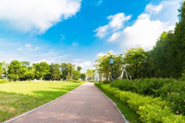 Park Yeşil Yolu ve Boş Zaman Alanı Ağaçlar Arasında Koşu Pisti