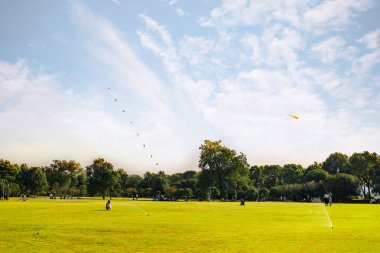 Mavi Gökyüzü Yeşil Çim ve Ağaçlar Poster Tasarımı Sahnesi