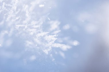 Narin Buz Kristallerinin Makro Fotoğrafları Kışın Kar Taneleri Üzerine Şekil Veriyor