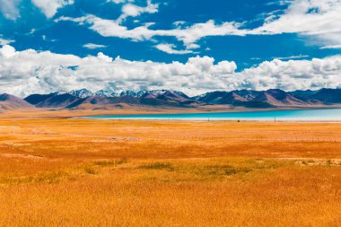 Tibet 'teki Namtso Gölü Kıyısına uzanan Sonbahar Renkleri Çayırı