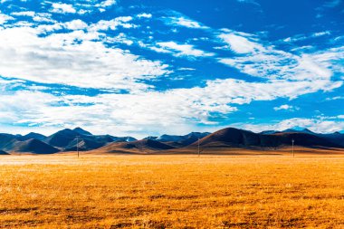 Altın Sonbahar Çayırı Namtso Gölü yakınlarında Tibet Sahnesi