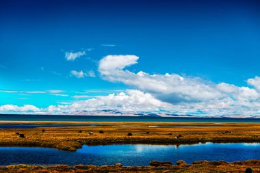Tibet Platosu 'ndaki Namtso Gölü' nün yanında sonbahar otlakları manzarası