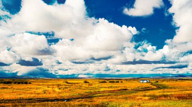 Hulunbuir 'in Sonbahar Altın Çayırları Yumuşak Gökyüzü Altında