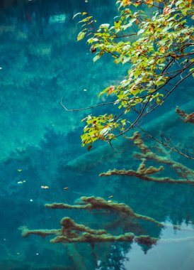 Jiuzhaigou Sichuan 'daki Mavi Göller' in Taze Büyük Havadan Görüntüsü