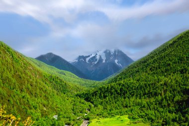 Bamei Otlağı Karlı Dağ Sahnesi Sichuan Çin