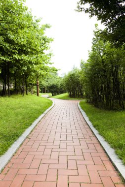 Park Kaldırımında Yürüme Yolu Doğal Eğlence Alanında