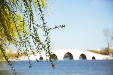 Willow Beijing Yuyuantan Park Sahne Fotoğrafları 'nda Arch Köprüsünü Çerçeveledi