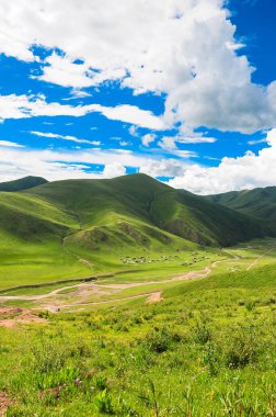 Yaz Highland Çayırı Manzara Fotoğrafçılığı