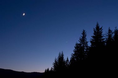 Ay Işığı Gece Manzarası Manzarası Astronomik Çizim