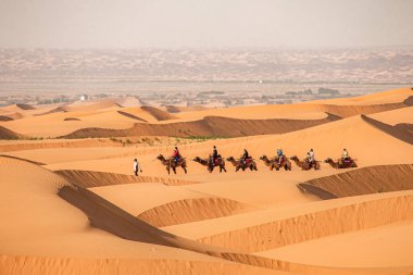 Grand Gansu Zhongwei Desert Camel Kervanı