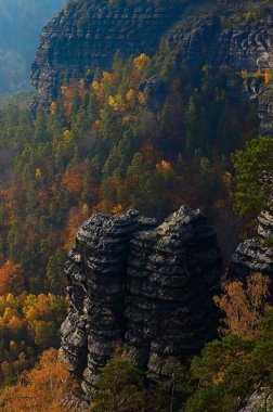Autumn Cliffside Orman Manzarası Dağ Fotoğrafçılığı