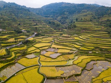Guizhou 'nun Hava Görüntüsü Xijiang Bin Ev Miao Köyü Peyzajı
